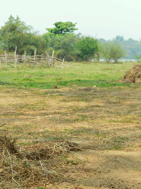 mantenimiento, corte, siega cesped Mallorca