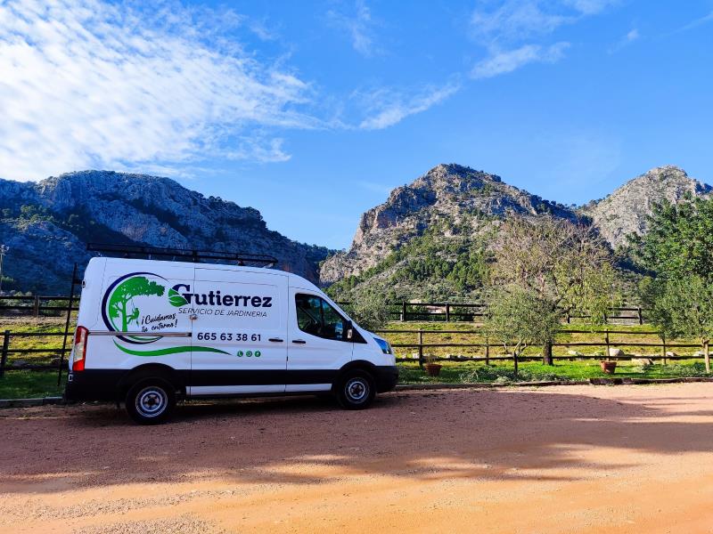 jardineros-en-mallorca-con-experiencia