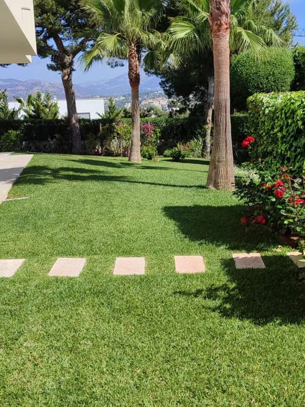 mantenimiento, corte, siega cesped Mallorca