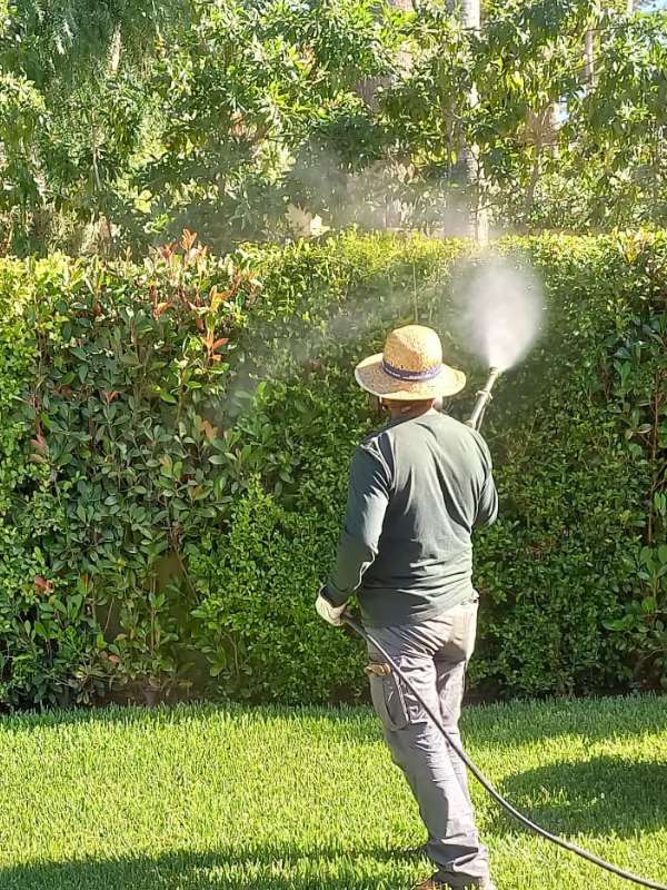 mantenimiento, corte, siega cesped Mallorca