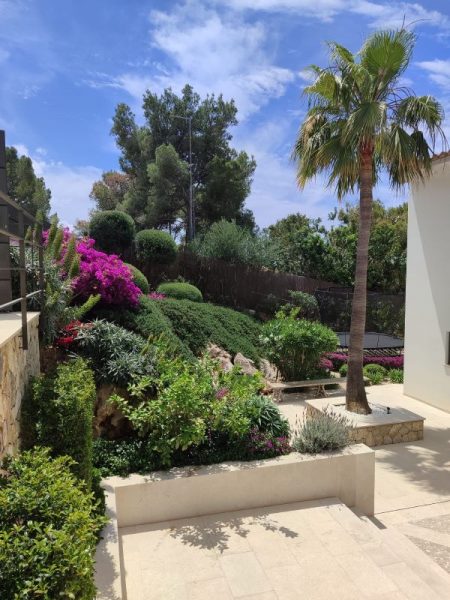 mantenimiento de jardines en Mallorca