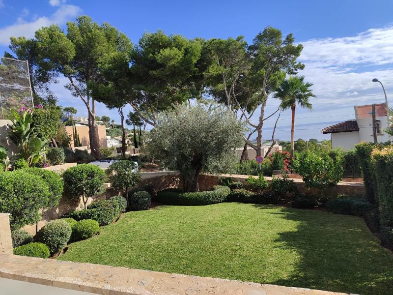 Mantneimiento de cesped, siega y recuperacion, Poda de arbusots, mantenimiento de jardines en Mallorca