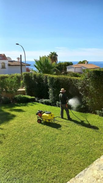 mantenimiento de jardines en Mallorca