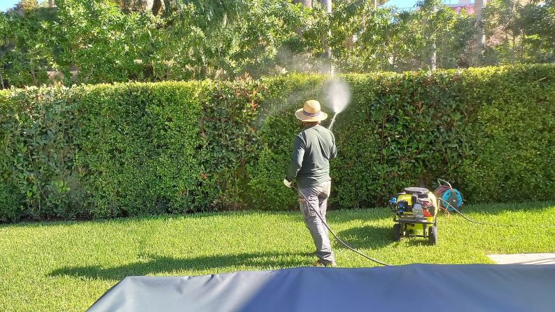 mantenimiento de jardines en Mallorca