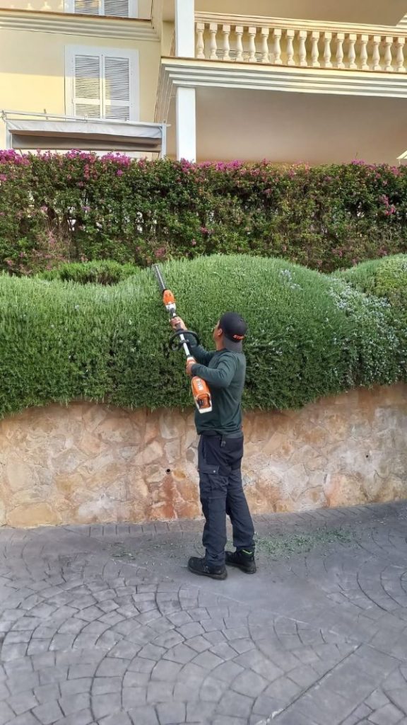 Poda de arbustos mantenimiento de jardines en Mallorca