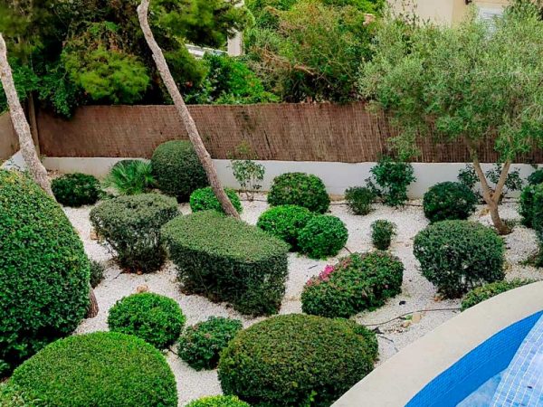 Poda de arbustos mantenimiento de jardines en Mallorca